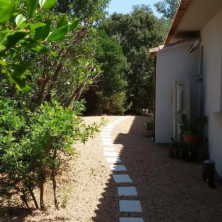 A Pavalese Pensjonat *